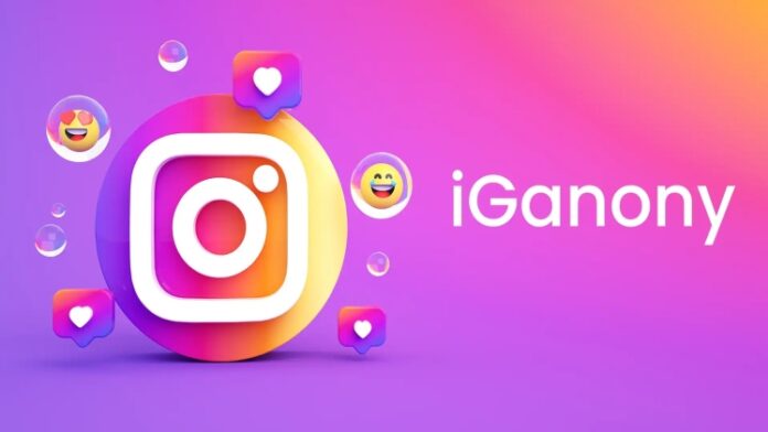 using IgAnony